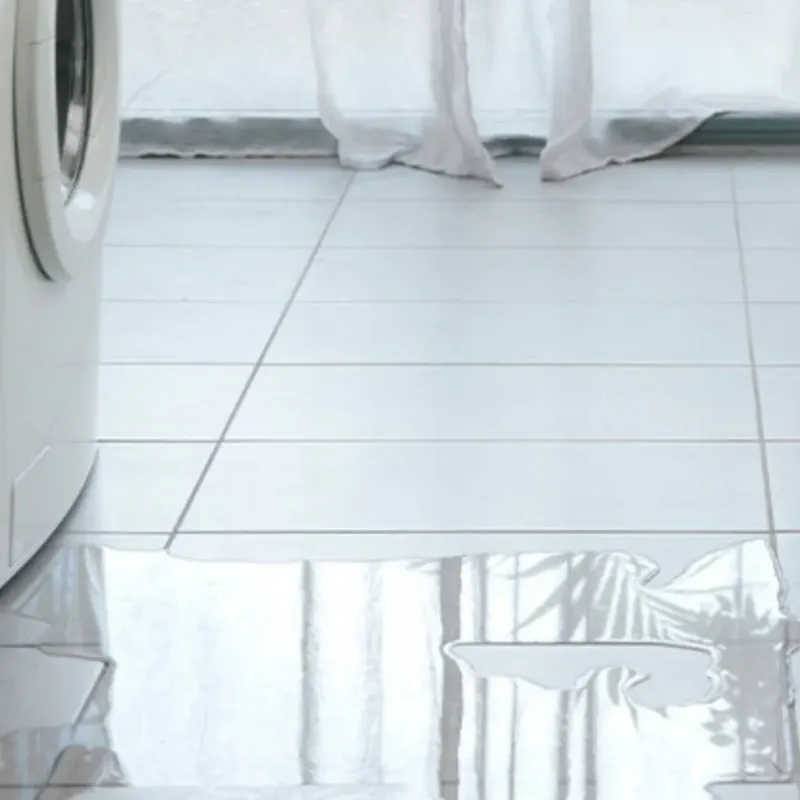 Appliance Leak Cleanup in Thomasboro, IL