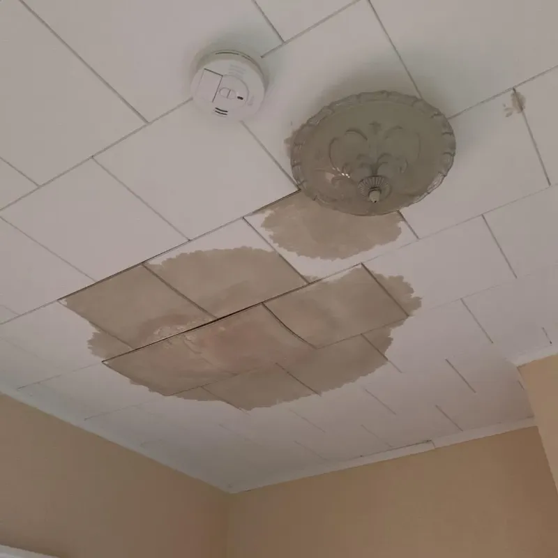Ceiling Water Damage Repair in Thomasboro, IL