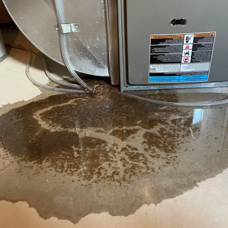Pipe Burst and Leak Restoration in Thomasboro, IL