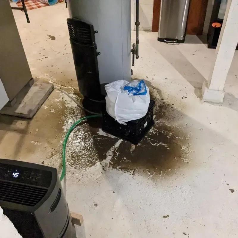 Sewage Backup Cleanup Service in Thomasboro, IL
